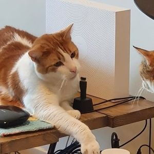 Meet your Posher, Pat